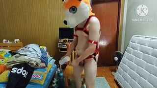 Lascivious doggy on main