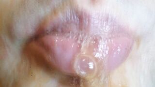 Erotic ASMR. Ears licking. U will fall cum