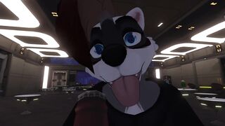 Space Raccoon Booty Invasion - POV Yiff Sex
