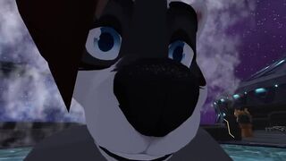 Space Raccoon Booty Invasion - POV Yiff Sex